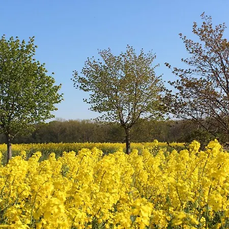 Herrenhaus App.08 Blengow